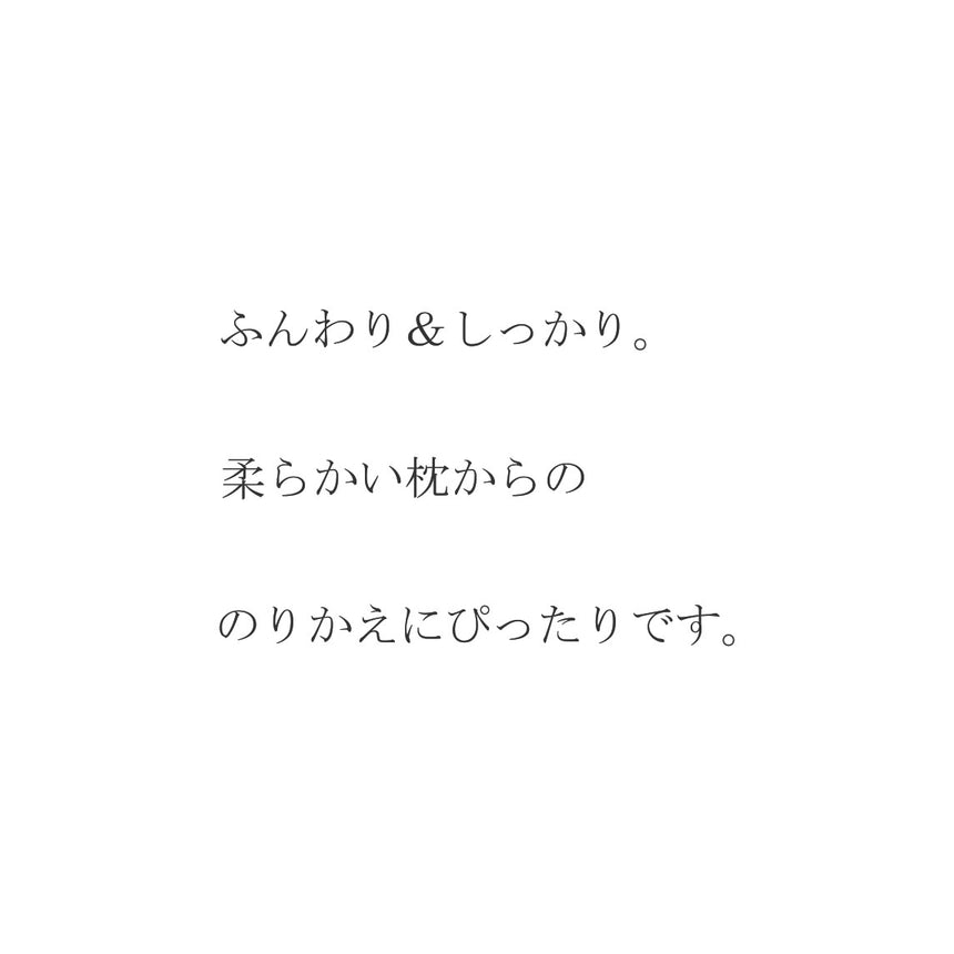 最初に試して欲しい枕　4部屋構造で高さ調整できるベーシックな快眠枕